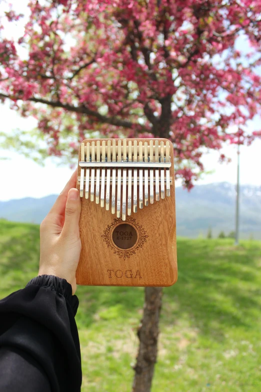 a person holding a musical instrument in their hand