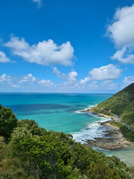 green trees next to the ocean in a valley