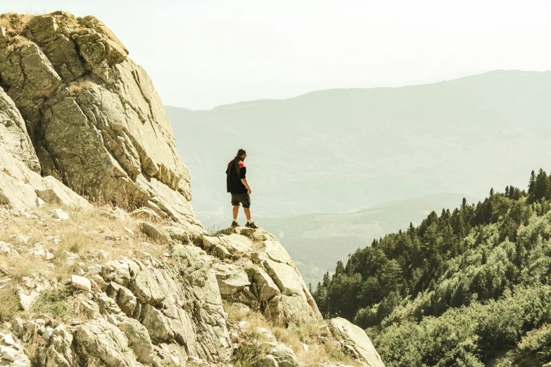a person standing on top of a cliff near a forest
