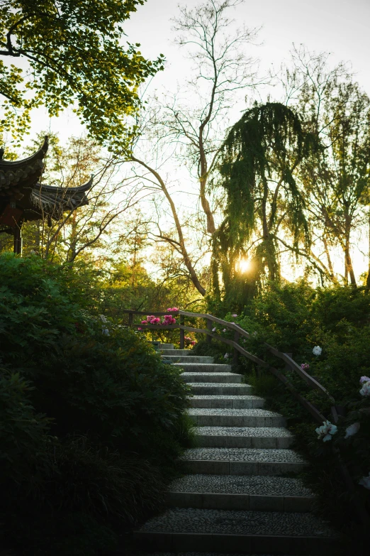 a stone pathway leads to an open garden