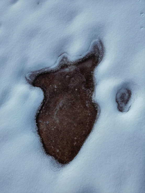 a small footprints is in the snow