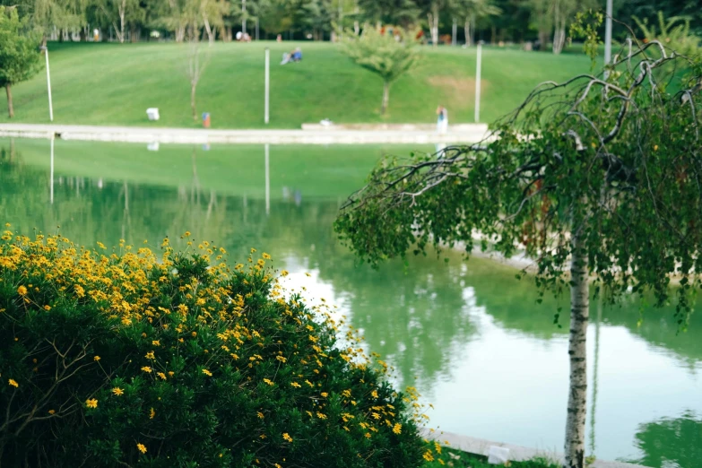 this park is very quiet, not busy