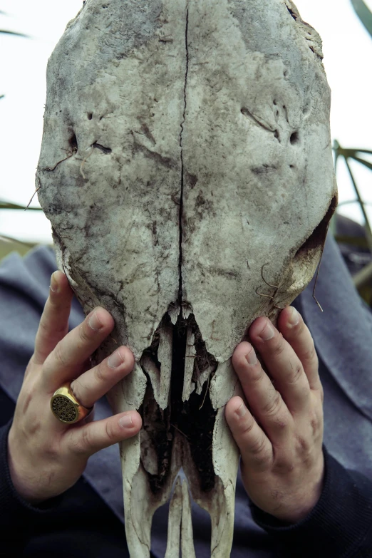 a person holding a big animal skull outside