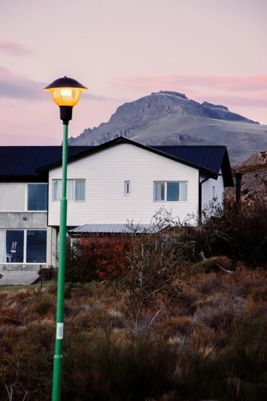 a green pole with a street light and some building in the background