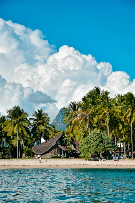 a boat on a calm lake in front of palm trees