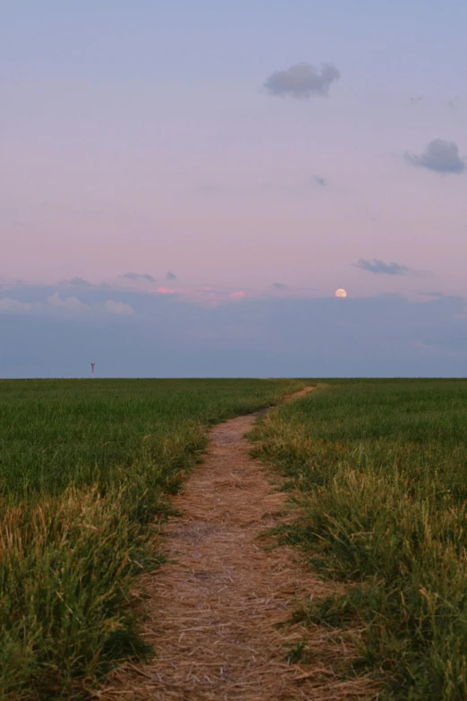 a path with an arrow on the right leads to a field that is green and has a large moon in the background