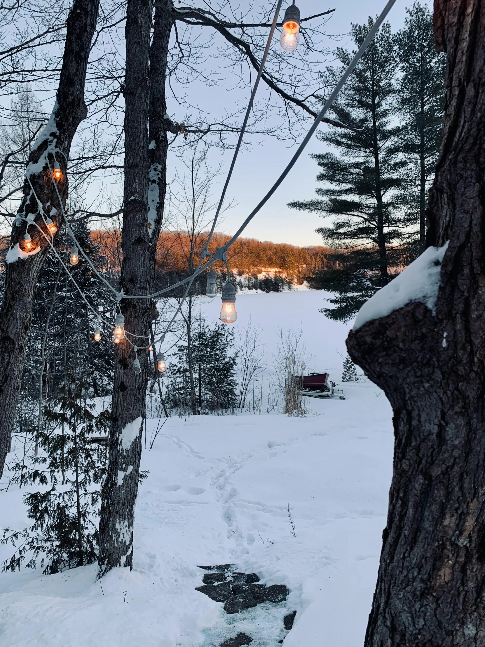 a snowy yard is lit up with lanterns