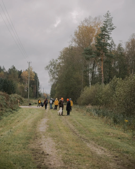 there are many people walking down the road