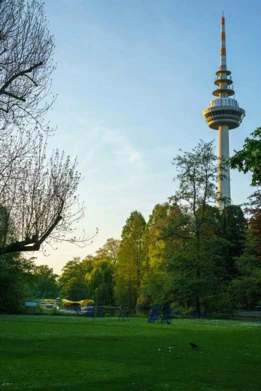 two trees are on the grassy field and one has a tower in the distance