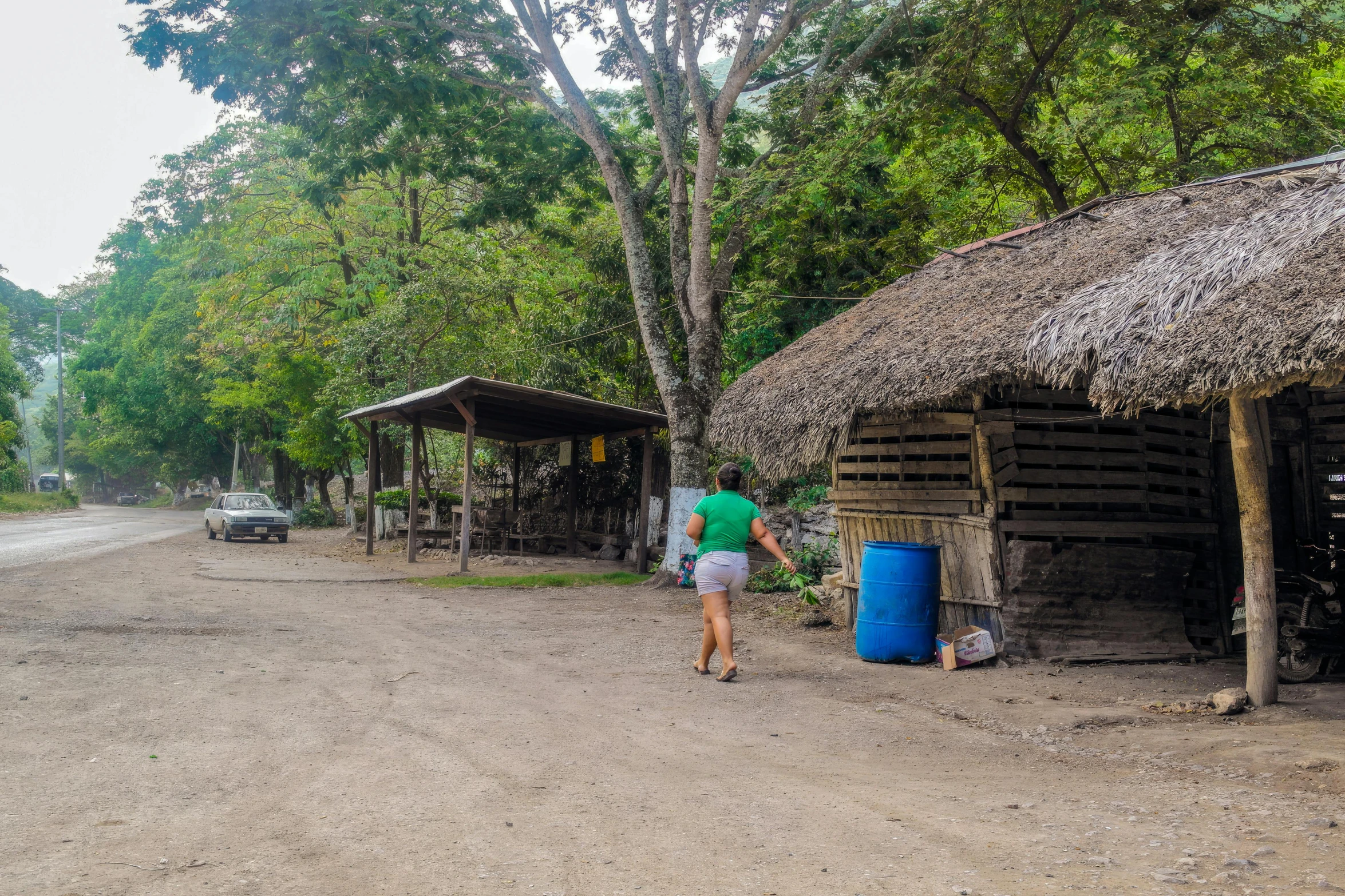 the woman is walking by the huts in the jungle