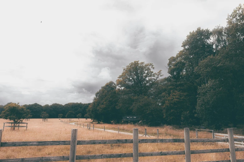 trees in the field behind a fence