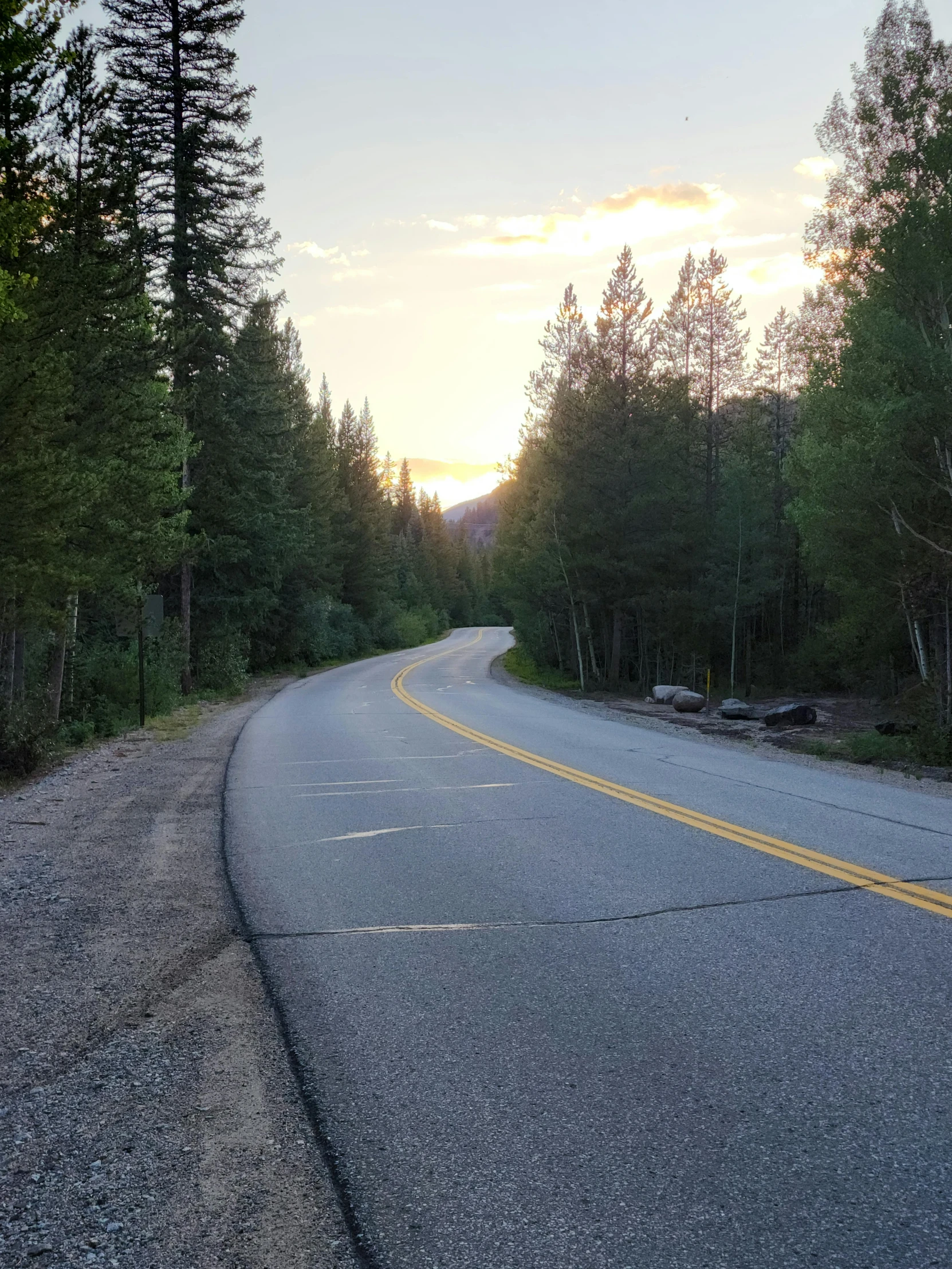 the road through the woods is empty during the sun sets