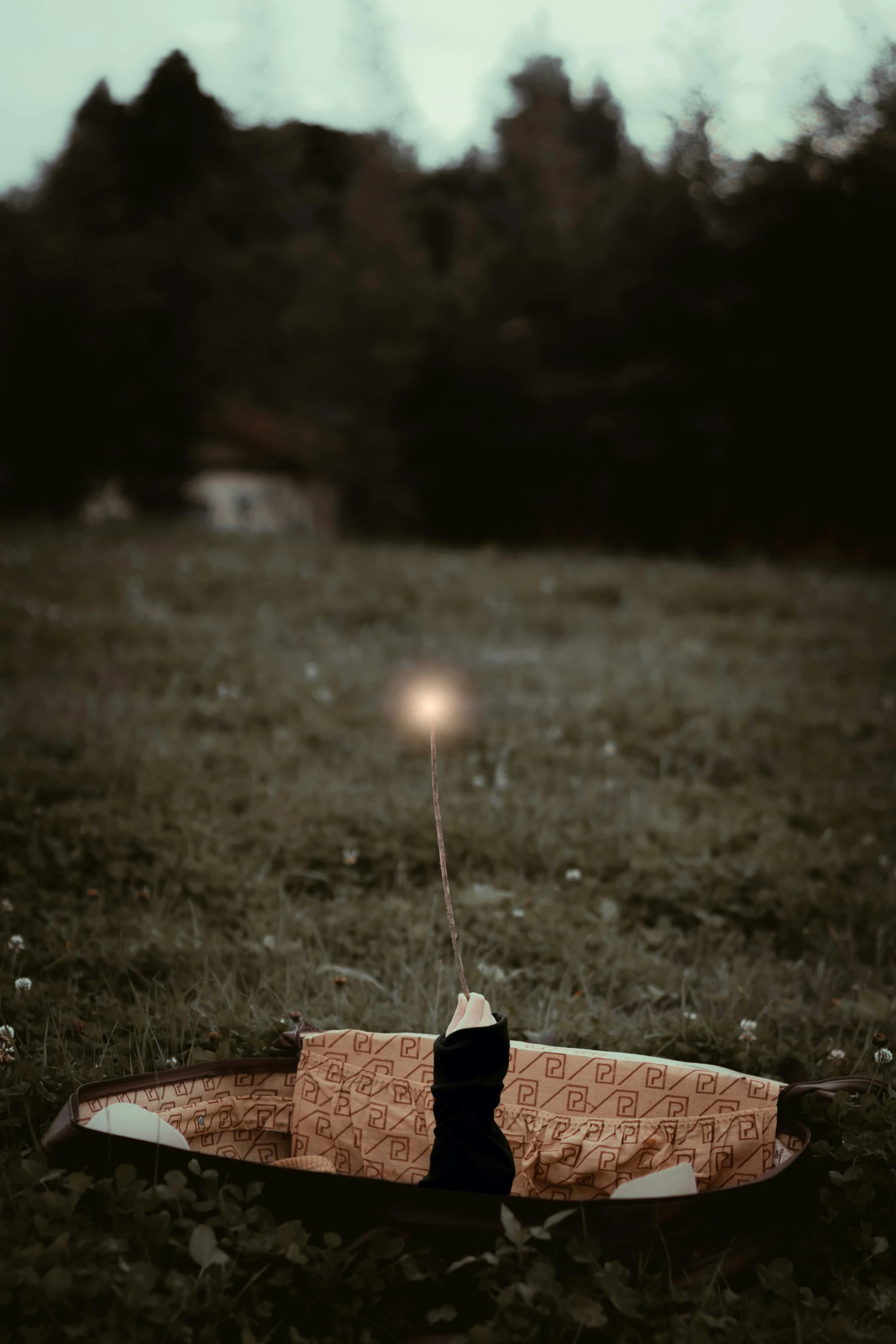 a small wooden object in the middle of some grass