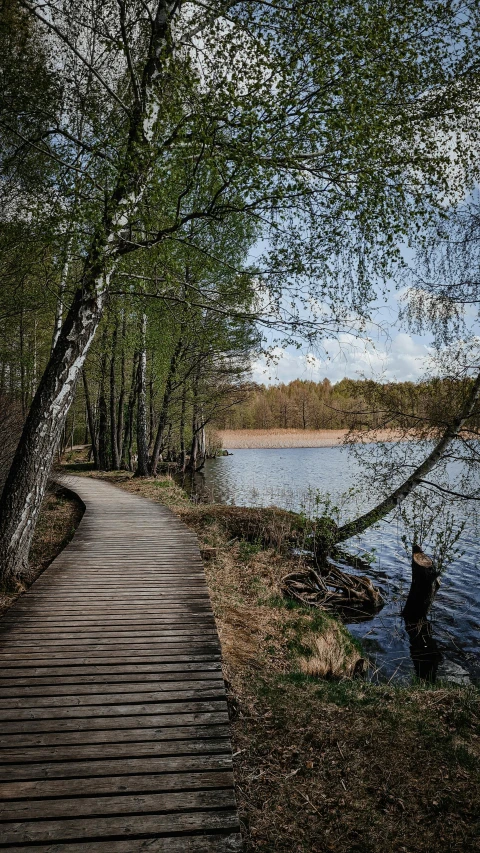 a pathway next to the water has a boat moored on it