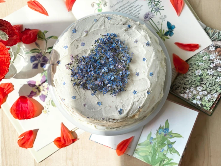 a white cake topped with blue sprinkles on top of cards