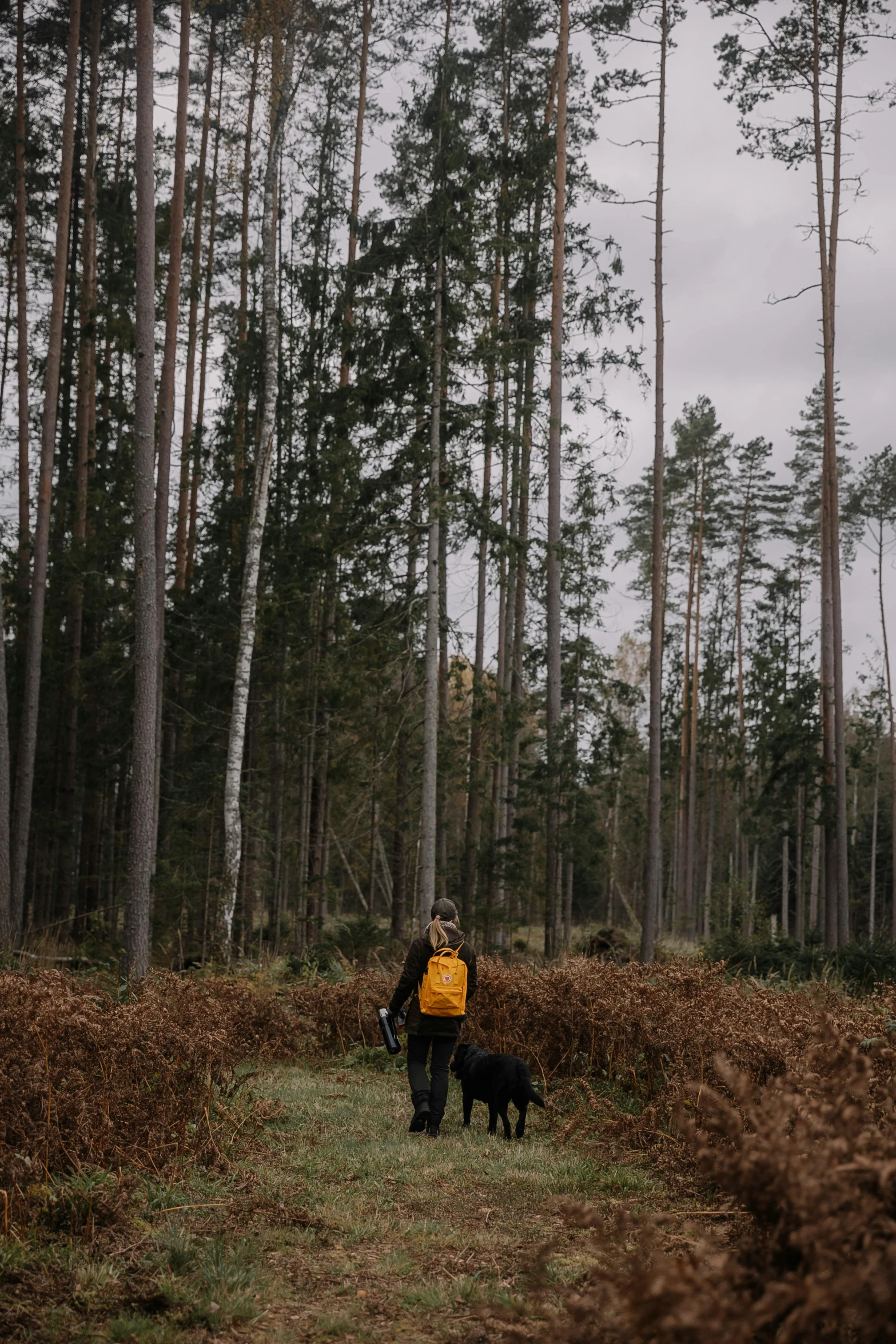 the person has a backpack and is walking with his dog