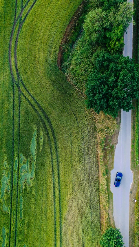 cars are parked along a dirt path between green fields