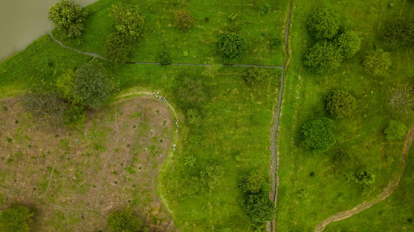 aerial view of an area with trees and grass