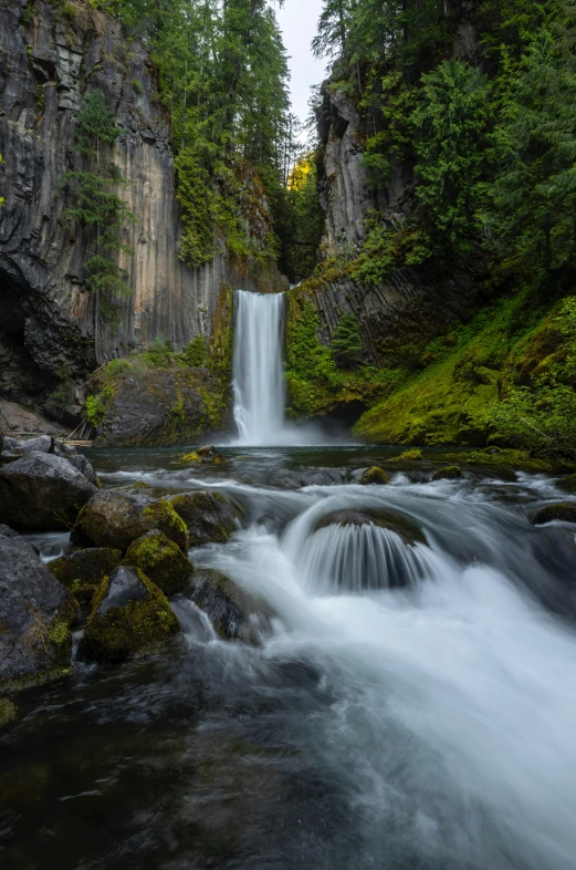 a small waterfall flowing into a stream surrounded by trees