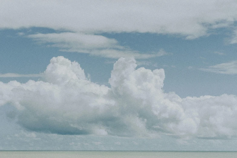 three sheep in a field near a sky