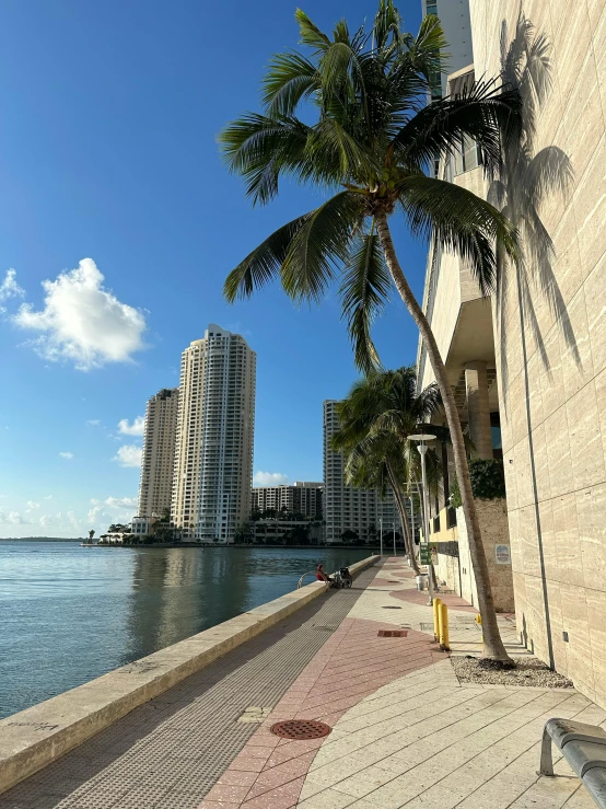 a palm tree that is leaning on a wall