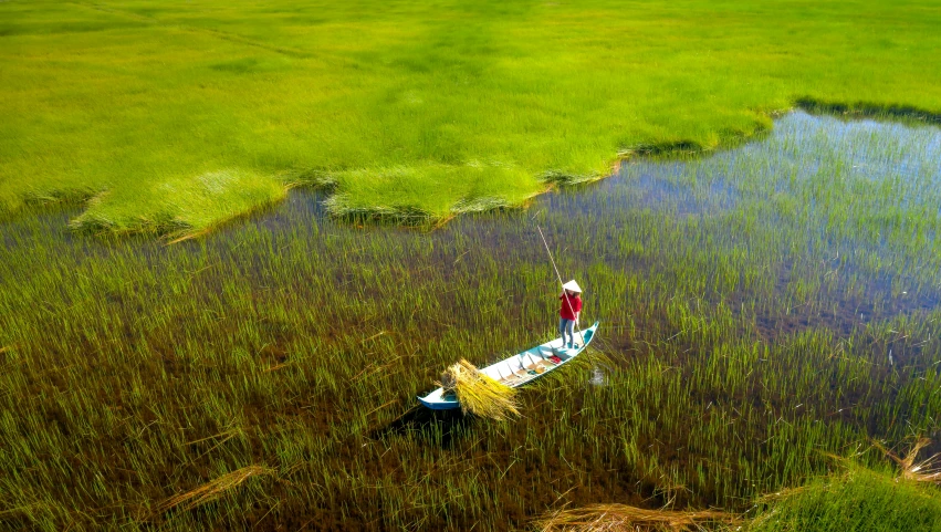 a small boat sitting in the middle of a swamp