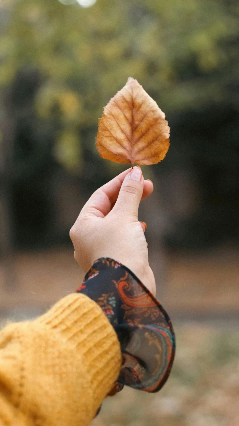 a hand holding an orange leaf in front of a forest