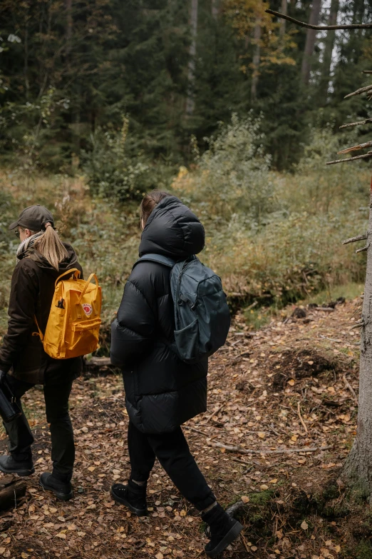 two people walk in the woods carrying back packs