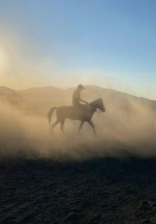 a horse and rider with dust flying up in the air