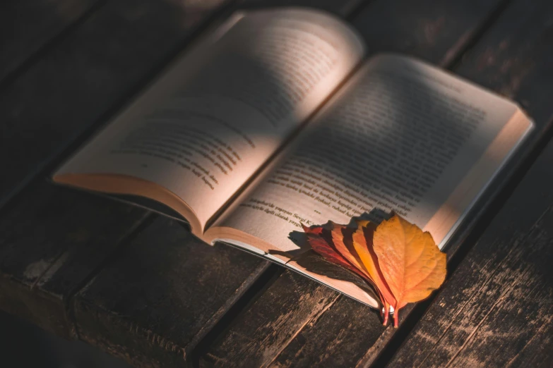 an open book with autumn leaves on the table
