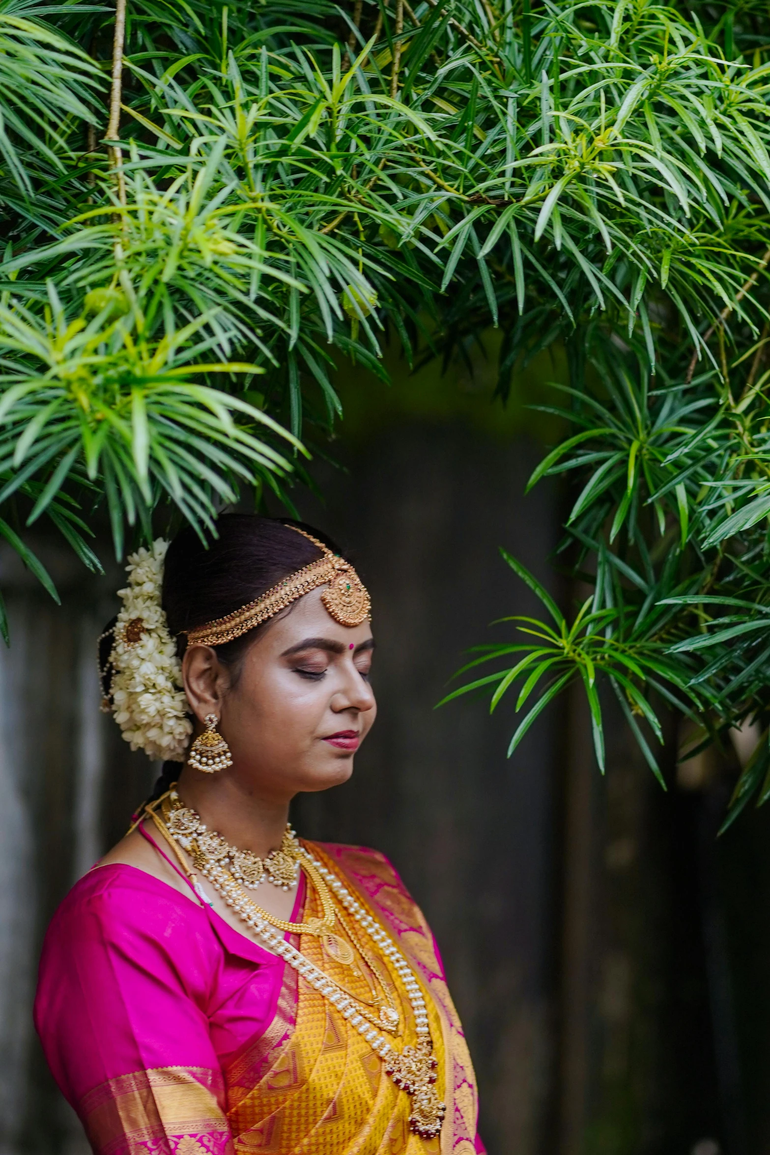 a girl in a traditional indian outfit, poses underneath the tree