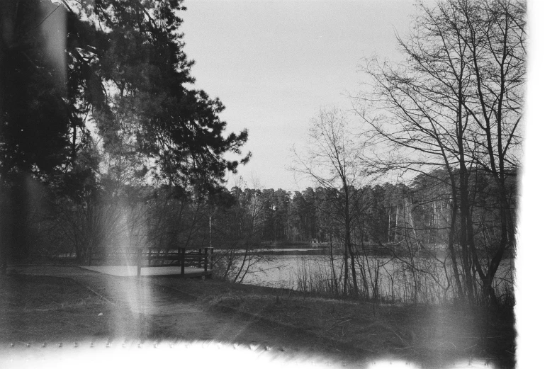 a lake and a road surrounded by trees