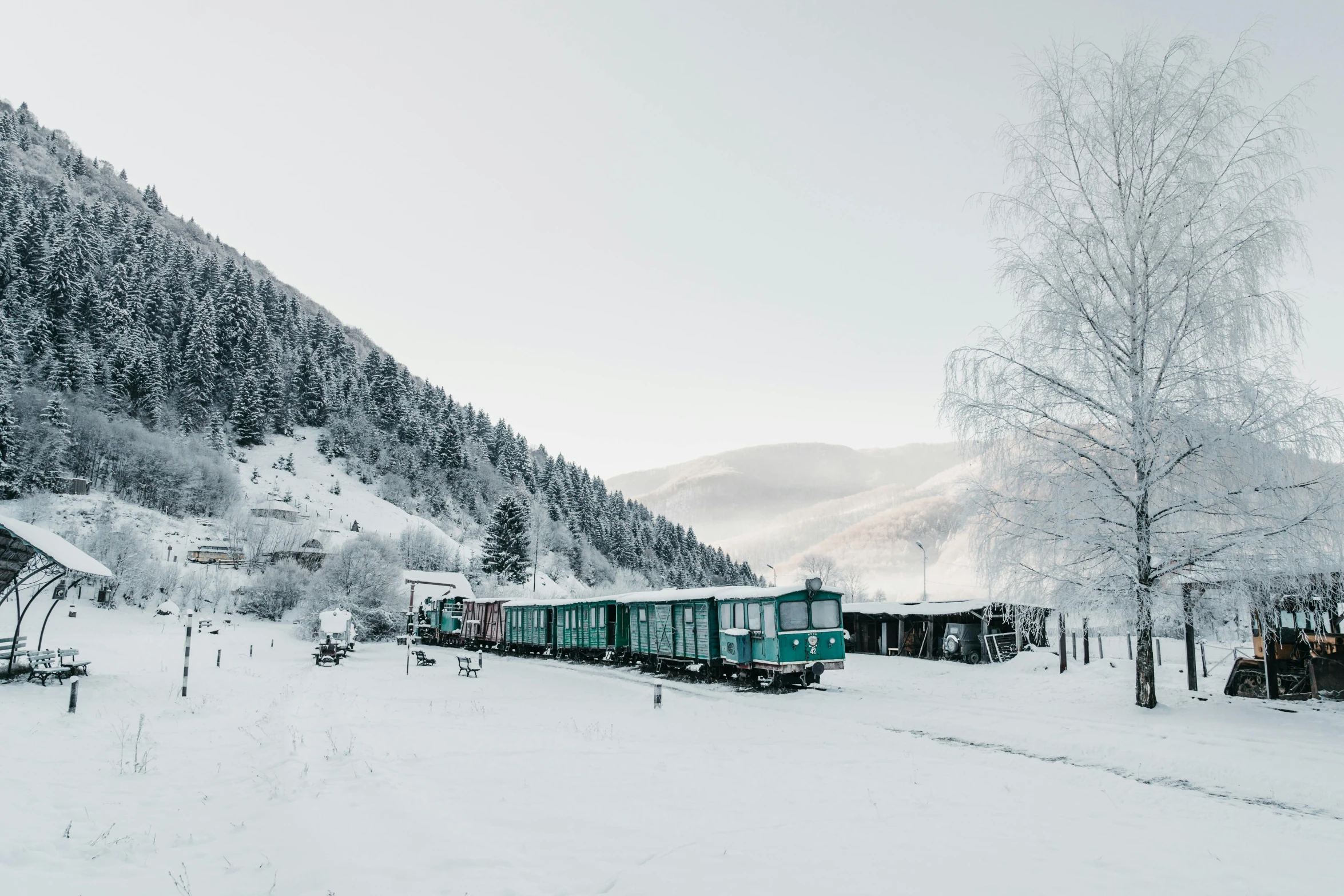 train on track near snowy forest in alpine area