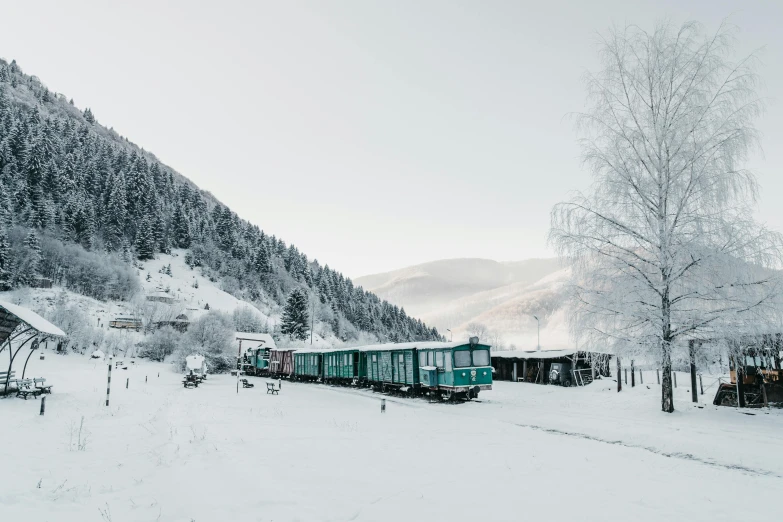 train on track near snowy forest in alpine area