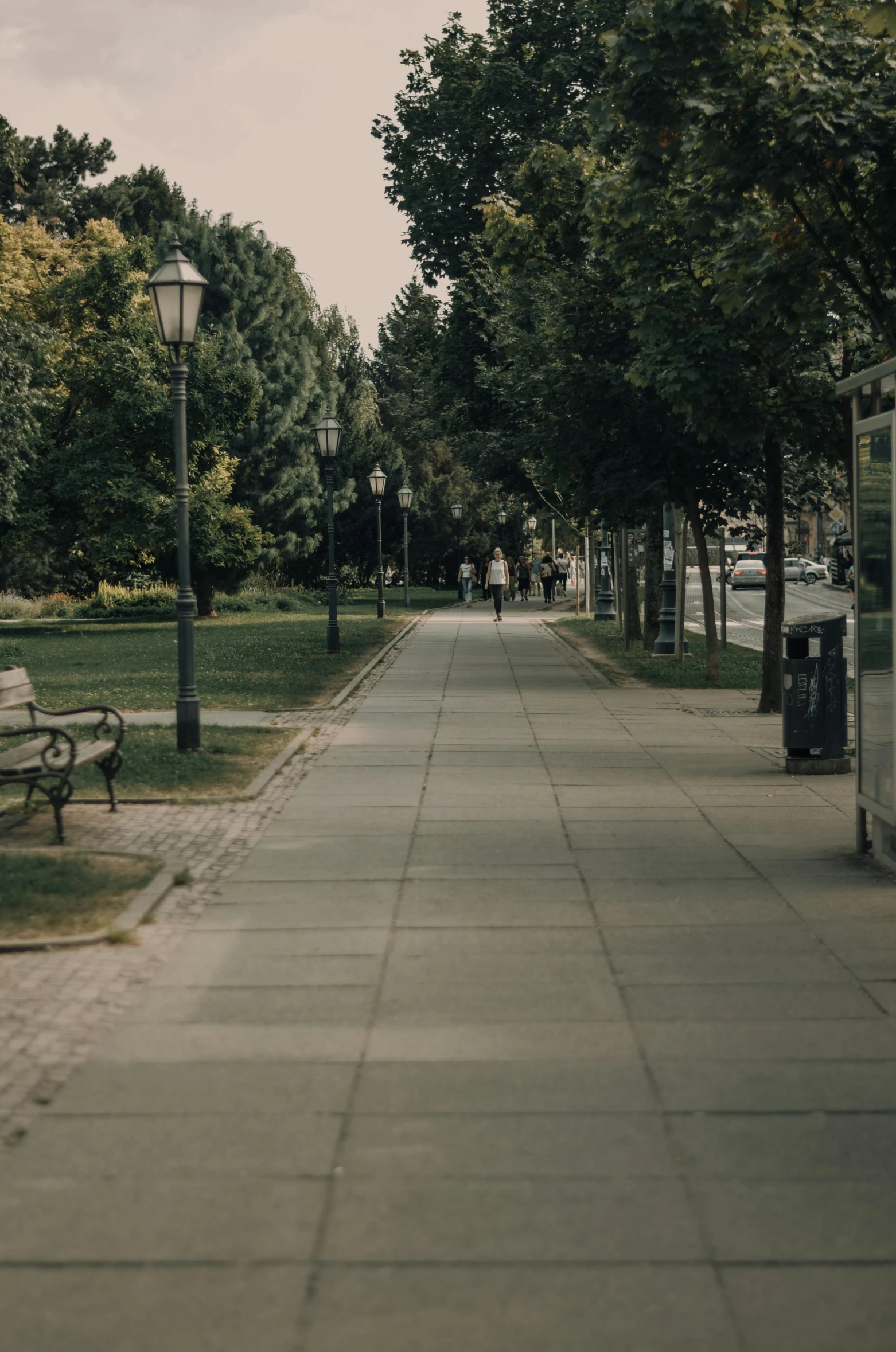 a sidewalk lined with benches and lots of trees