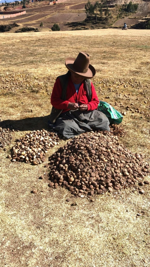 a man in a hat sits next to many potatoes