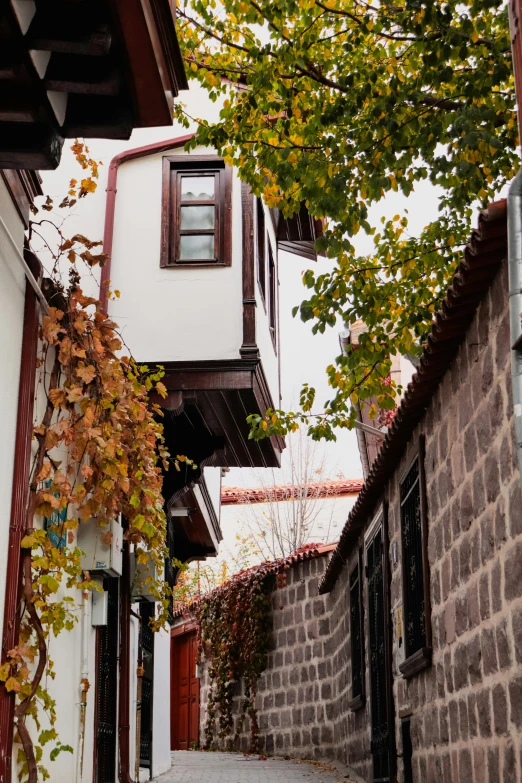 an alleyway with some stone buildings and some autumn leaves