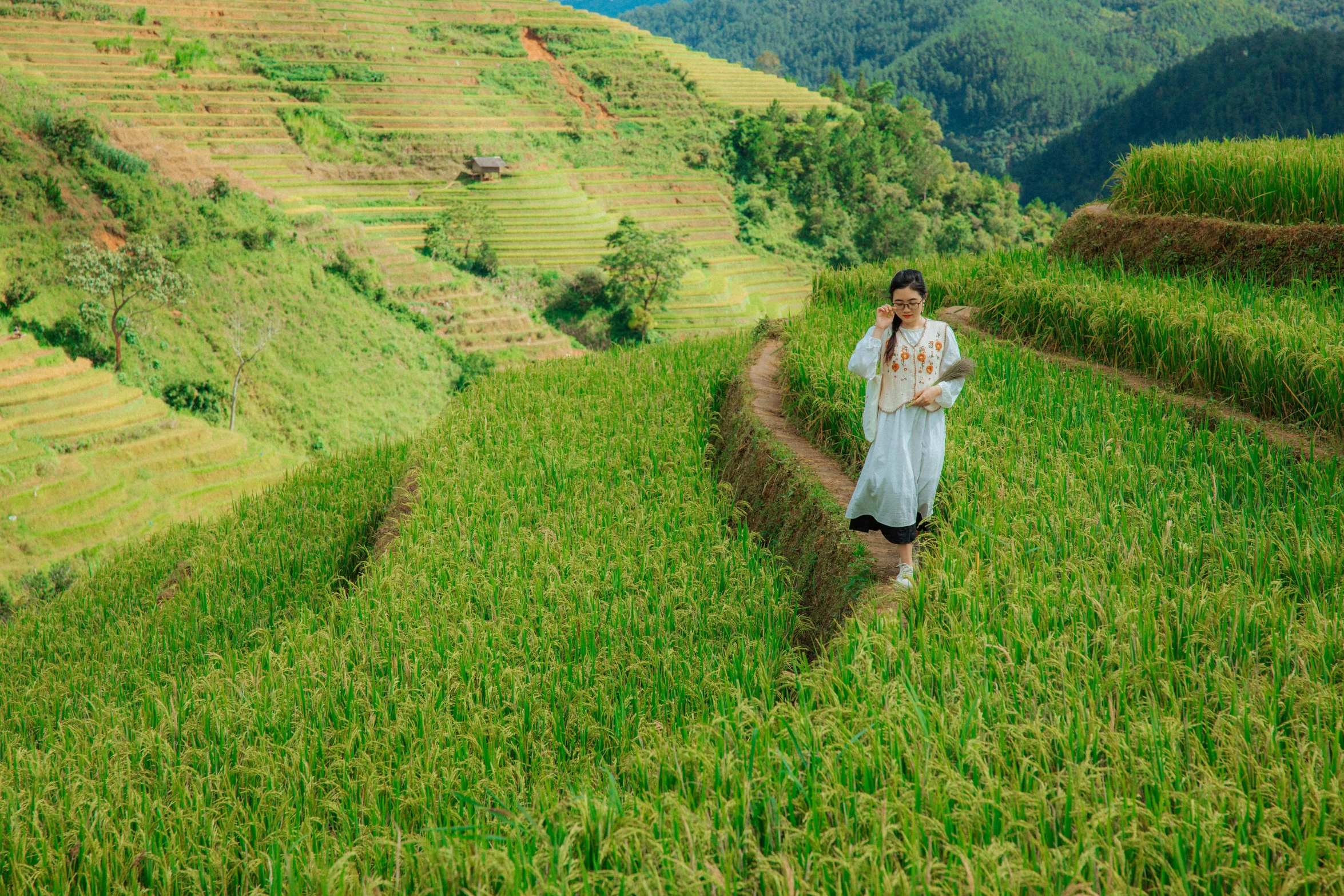 woman in field holding a cell phone standing on a grassy hill