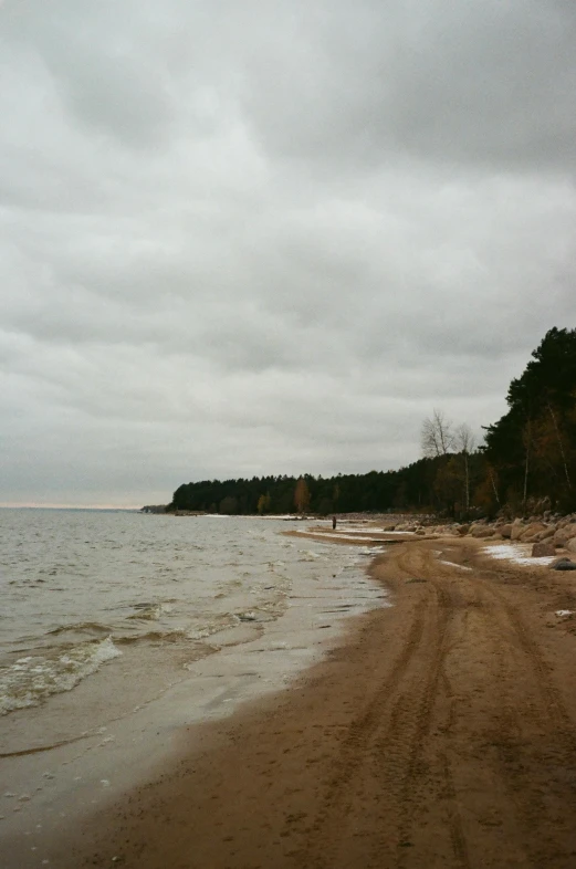 a sandy beach and shore near some trees