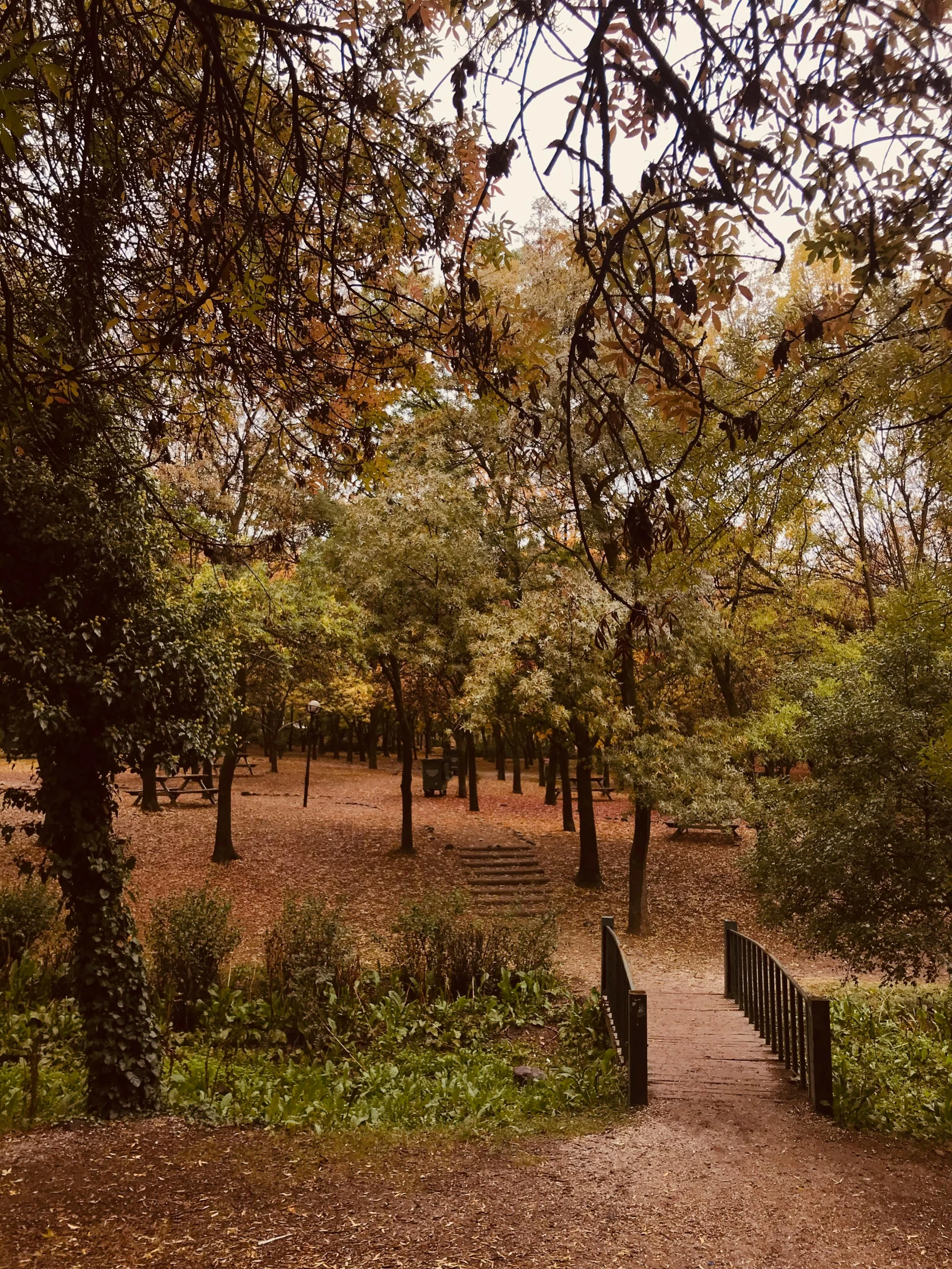 a pathway is seen near a wooded area