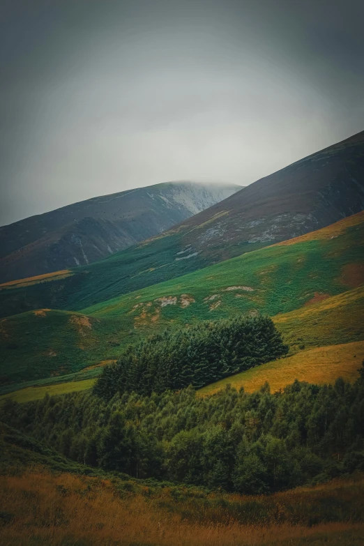 the countryside in a dark forest on a stormy day