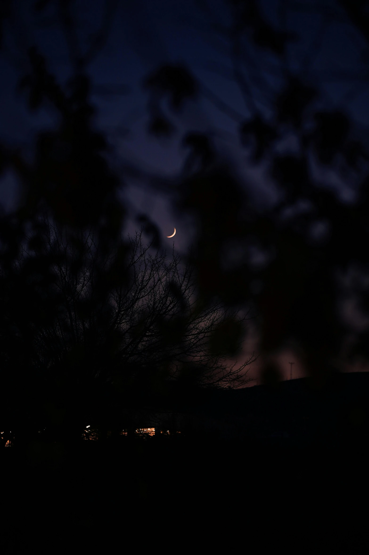 the night sky and a few street lights in the distance