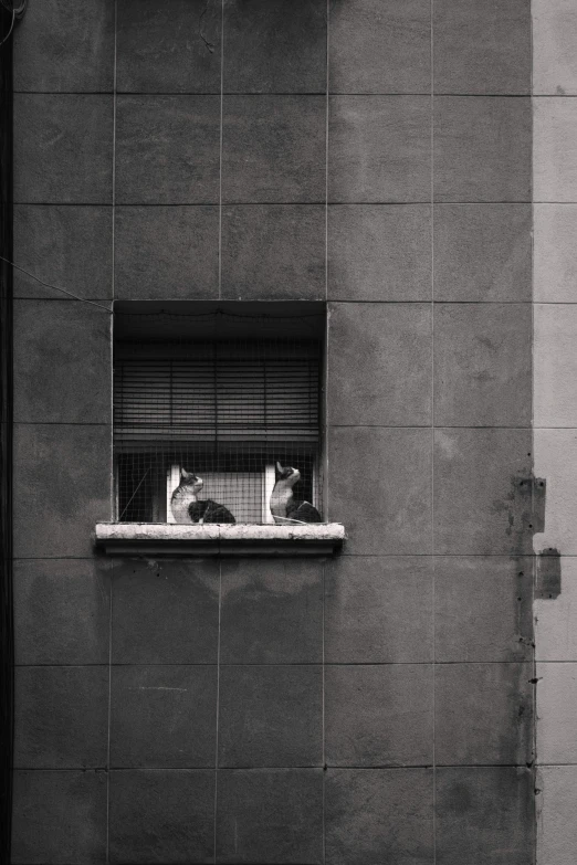 black and white pograph of a dog inside his cage