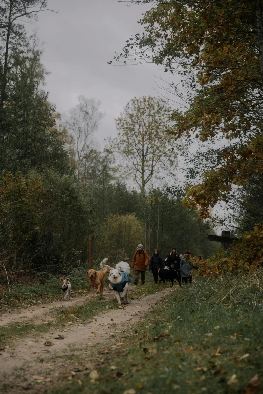 the group of people are traveling along a dirt path