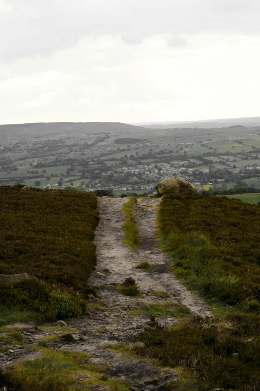 two walking paths leading to a valley under gray skies