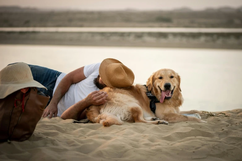 a man and his dog are enjoying the beach