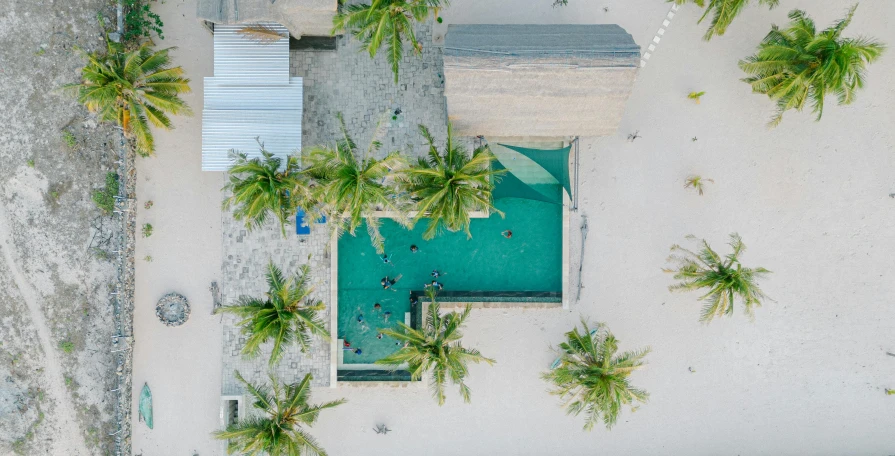 an aerial view of a pool and beach with several palm trees