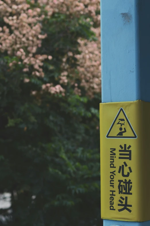 a yellow sign on a pole by a tree