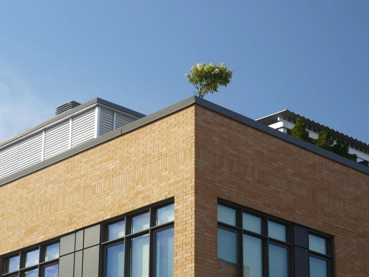 the roof of a building with an air vent