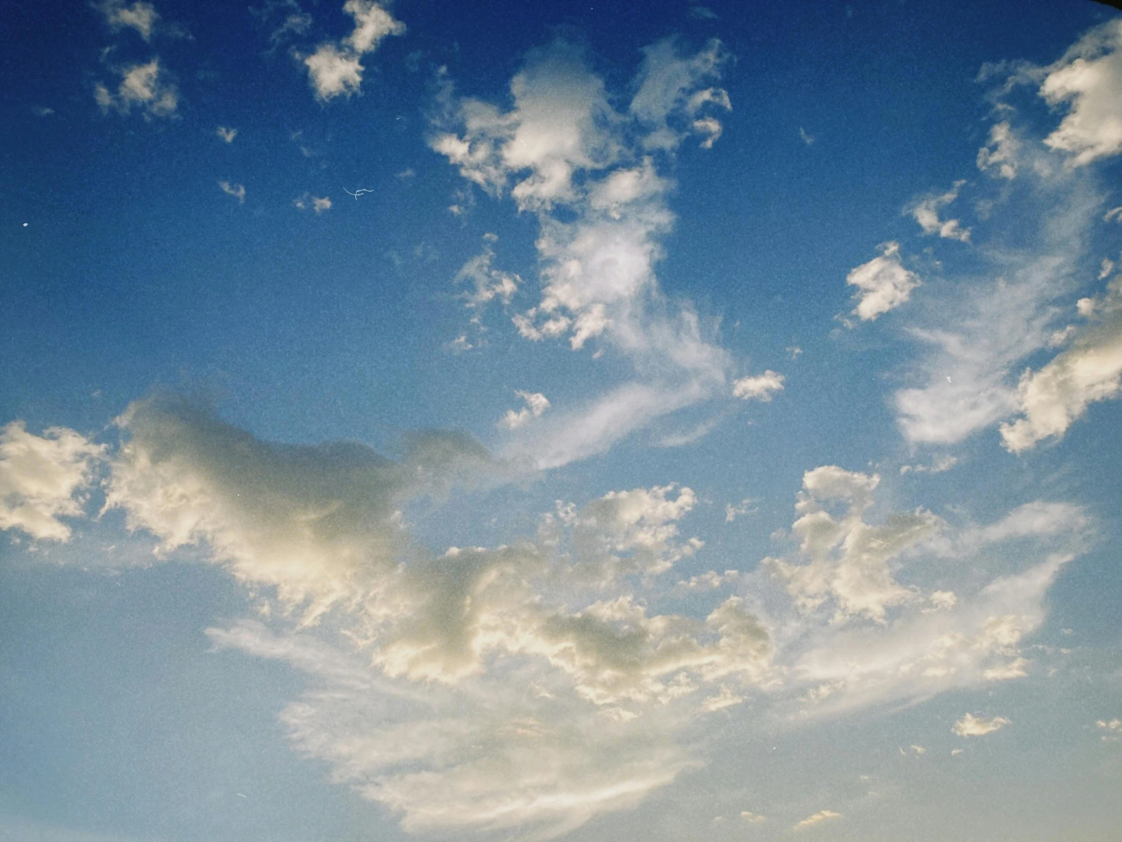 three elephants and an elephant are under a cloudy blue sky